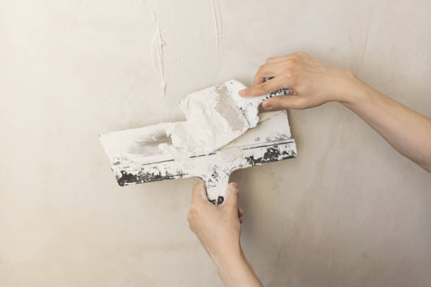 Après un dégât des eaux, les murs et plafonds subissent souvent de lourds dommages. En effet, l’humidité dégrade le plâtre,